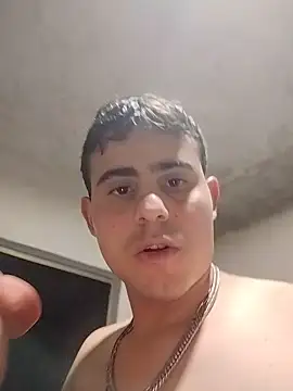 ale_mp webcam