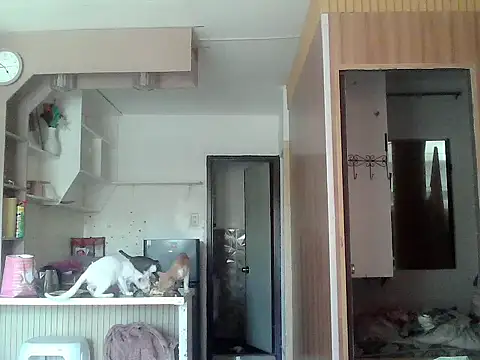 bigcockkyla webcam