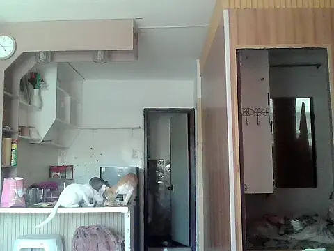 bigcockkyla webcam