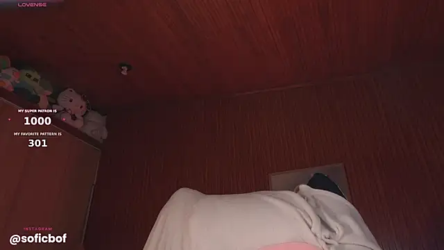 sofi_sc webcam