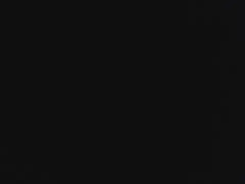 novilho18piroc webcam