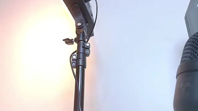 RiriiBrunette__ webcam