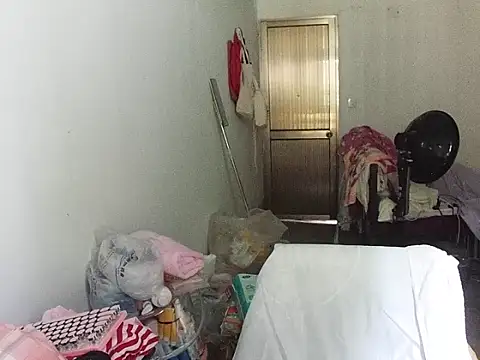 RebelAura webcam