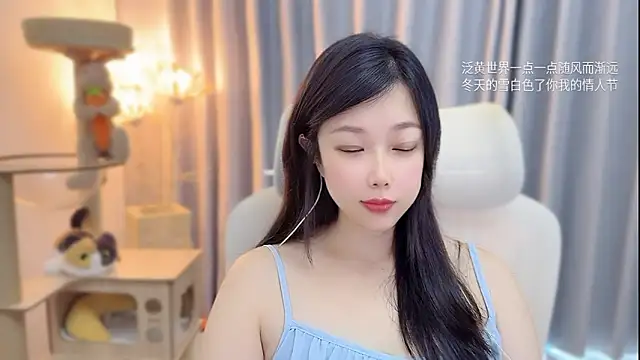 facai-feifei webcam