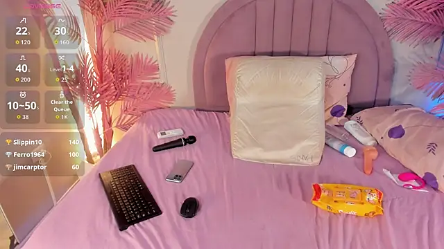 Nalapalmer webcam