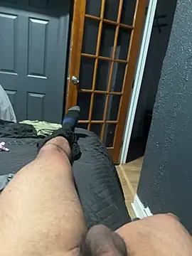 lopic webcam