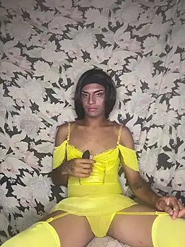 Tubebylinda webcam
