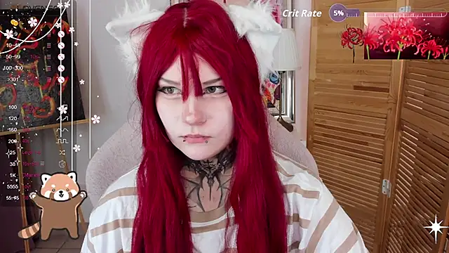 mekurisu webcam