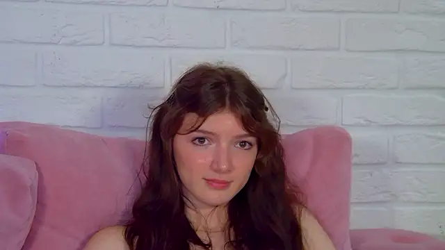 SophiaProve webcam