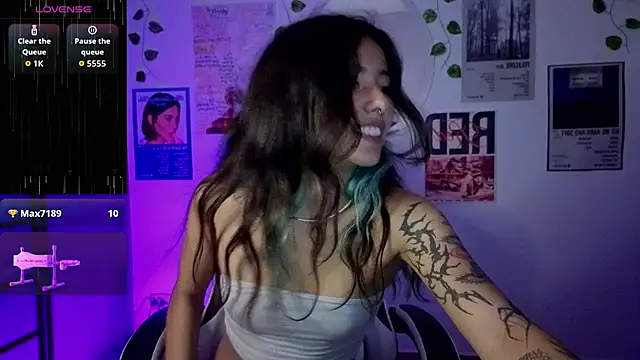 IvyStone_ webcam