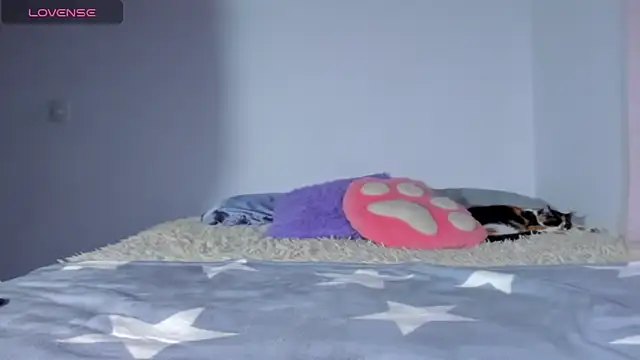 baileyadamms webcam