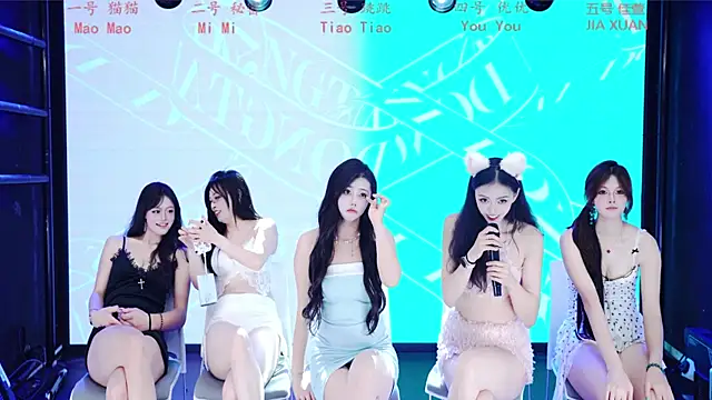 YC-888 webcam