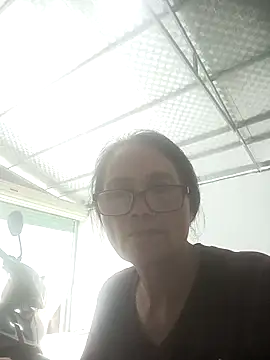 Vieekee webcam