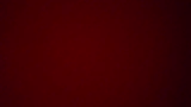 yoci0101 webcam