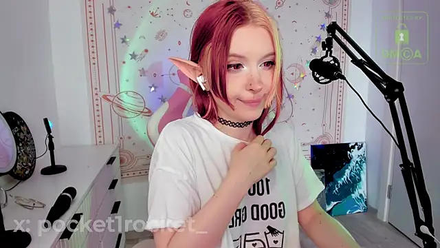 _PocketRocket_ webcam