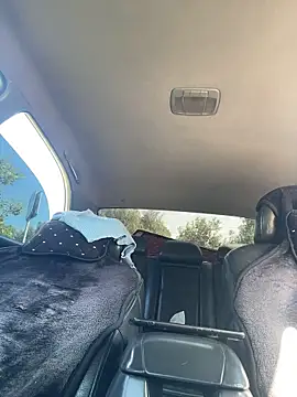 MerlinDave webcam