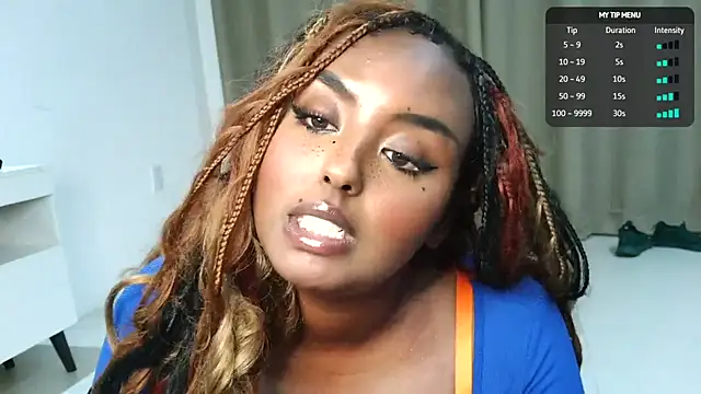 SiminFox webcam