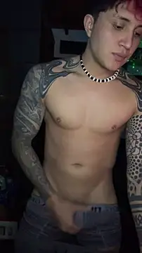 dylan_wels webcam