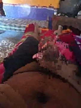 pussypackers webcam