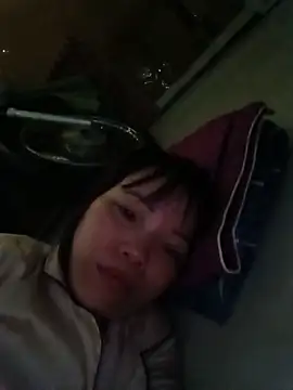 Sana-vn webcam