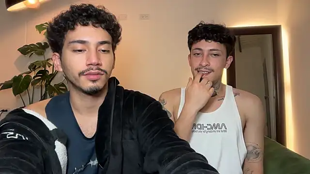 Noah_and_Steven webcam