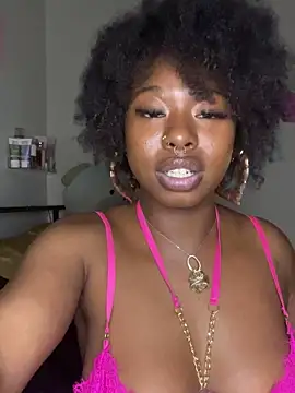TinyBlazian901 webcam