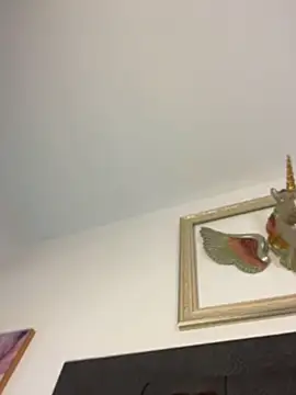 cotton_07 webcam