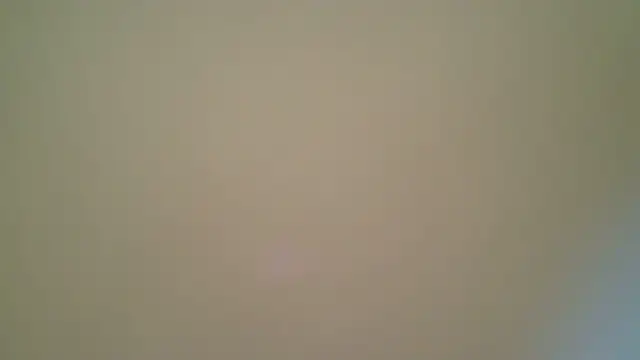 Mushroom83 webcam