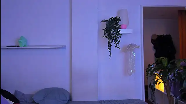 santy-kitty webcam