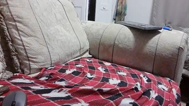 willywet webcam