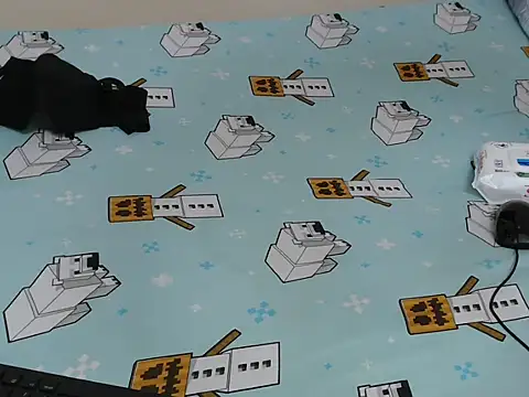 Candiemaya webcam