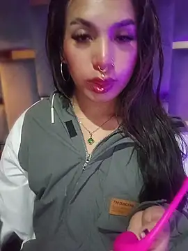 MeelFox webcam