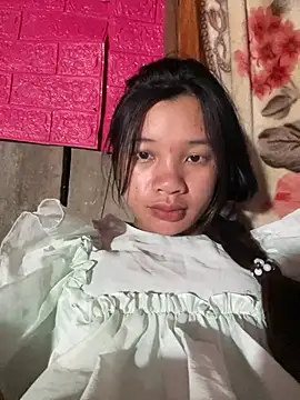 beobeo_2xx webcam