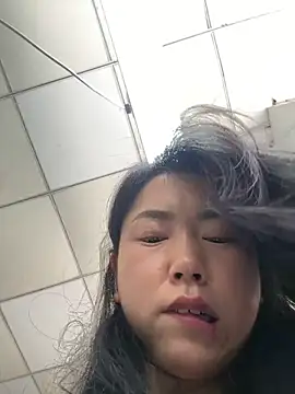 DHJM168 webcam