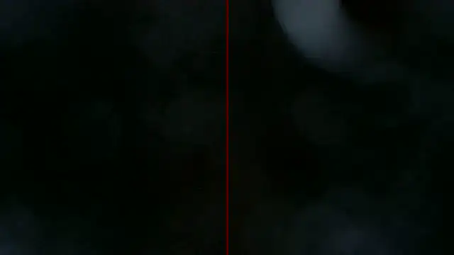 0815lukas2024 webcam