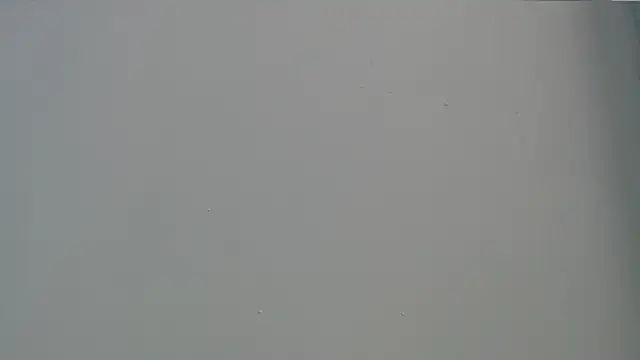 zoecute5817 webcam