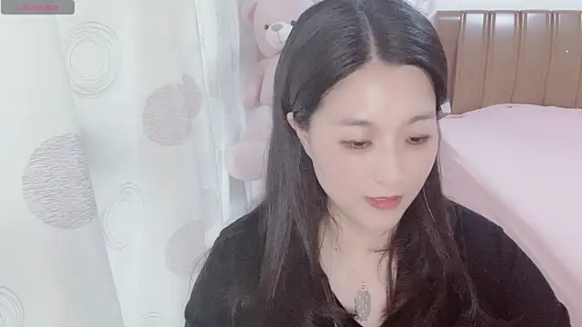 D-Misslu webcam