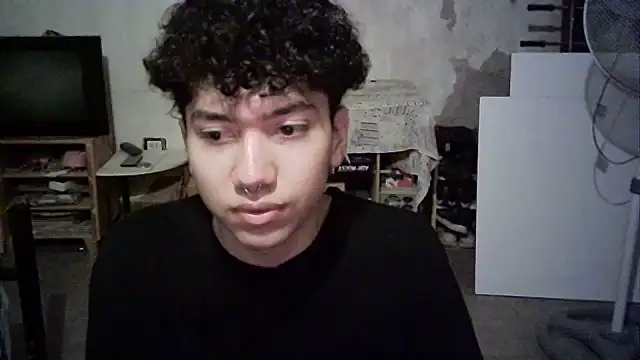 Emv2 webcam
