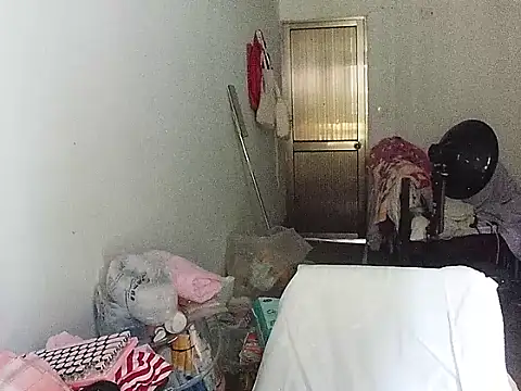 RebelAura webcam