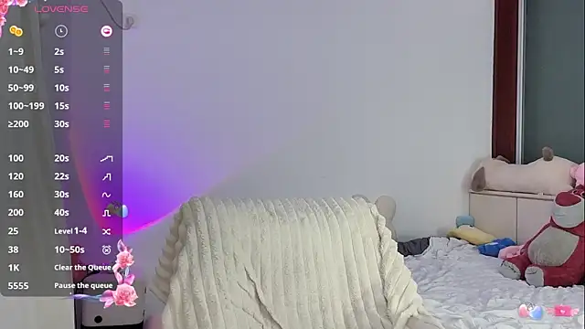 _flipped_ webcam