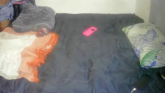 WildRayX webcam