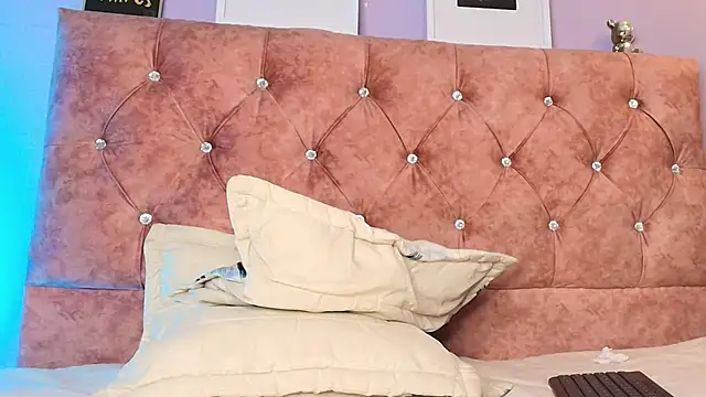 Nikirouse webcam