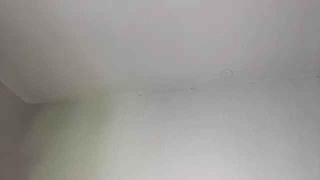 AlmetaHafley webcam