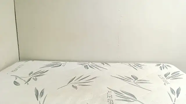 VixenZA webcam