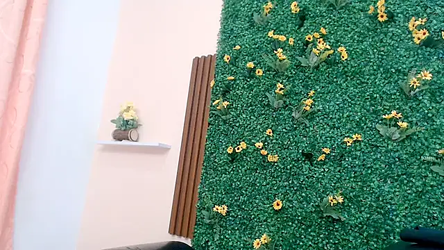 dulcemarce20 webcam