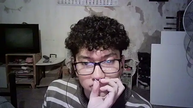 Emv2 webcam