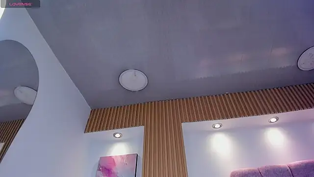 1Sloppy_Fox4 webcam