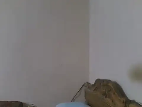 elpoop7305 webcam