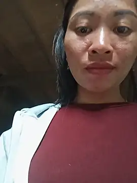 Hiniyk2 webcam