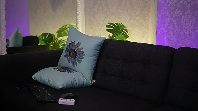 AriaPlay webcam
